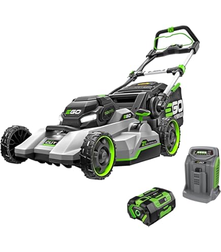 Amazon.com : Husqvarna Z254 (54